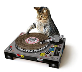 Cat Cat