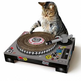 Cat turntable scratcher