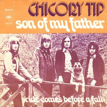 Chicory Tip - Son of my father