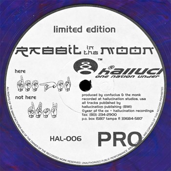 Rabbit in the moon record sleeve